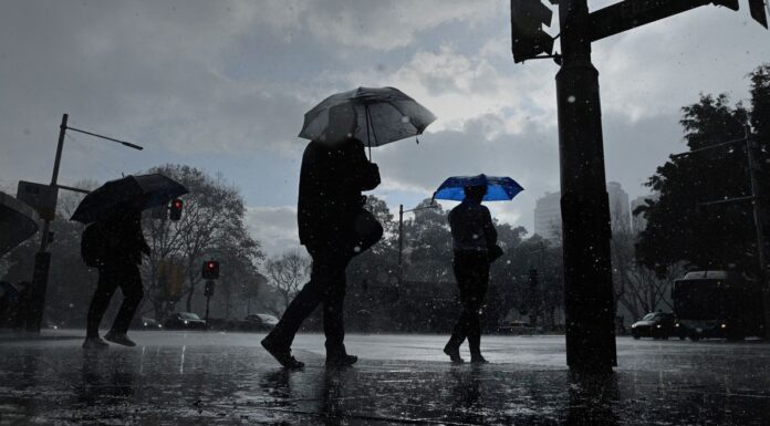 호주 전역, 겨울에도 이상 고온 지속 전망 A wet winter is on the way for some parts of Australia. (Kate Geraghty)
