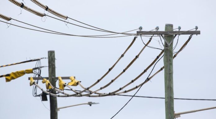 호주 NSW 등 3개 주, 7월부터 최대 228달러 전기요금 인상 NSW residents could face an annual bill hike of up to 9.7 per cent in the 2025-26 financial year. Picture NewsWire Gaye Gerard