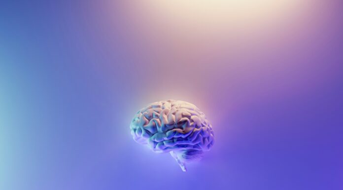 뇌 건강과 기억력을 위한 미국 의사의 5가지 습관 milad-fakurian-58Z17lnVS4U-unsplash