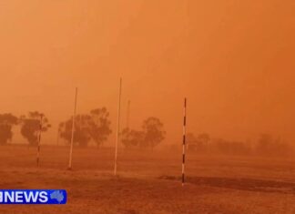 남호주 강풍과 먼지폭풍으로 교통·정전 피해 확산 Dust storms are also causing dangerous conditions on rural roads including the Sturt Highway. (Nine)