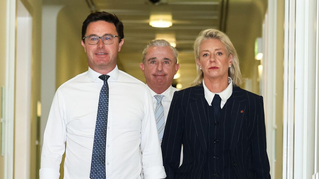 David Littleproud, Kevin Hogan and Bridget McKenzie are the Nationals' leadership team. (Alex Ellinghausen)