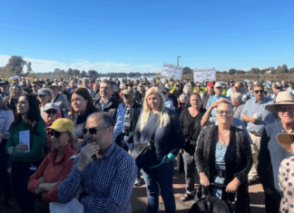 호주 NSW 타리: 홍수 피해 주민들, 7만 5천 달러 지원 촉구 집회 열어 Thousands of Mid North Coast residents gathered by the banks of the Manning River. (ABC Mid North Coast Marina Trajkovich)