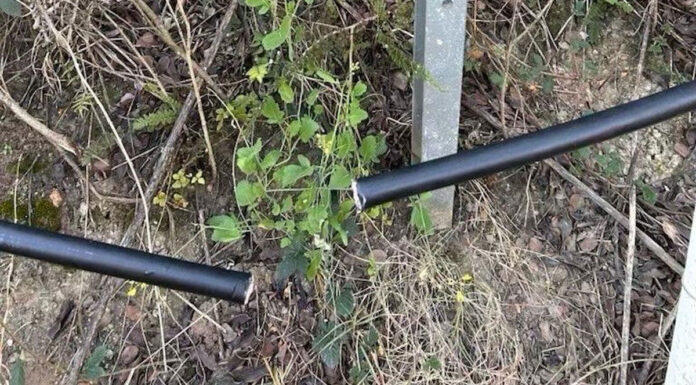 20일 시드니 기차 길포드 고전압 전선 사고후 노선 정상 운행 Damage-to-train-wires-at-Guildford.-(Nine)