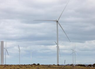 호주 빅토리아 Codrington 풍력 발전소, 25년 만에 폐쇄 예정 The Codrington Farm is “approaching the end of its technical life”. Picture NewsWireNadir Kinani