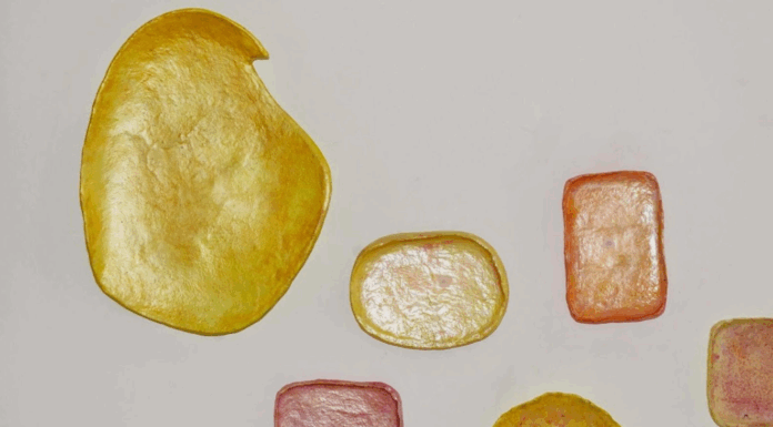 문화원, 현지 작가 협업 전시⟪Nurture/Nature⟫개최 Jane Lennon, Oversized Platters, paper, acrylic