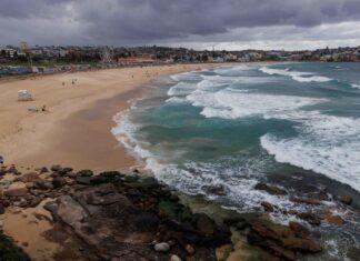 NSW 본다이 비치 상어 그물, 여름철 시범 철거 검토 중 Popular Sydney beaches including Bondi Beach could be in for a major change ahead of a trial to remove shark nets. Picture NewsWire David Swift