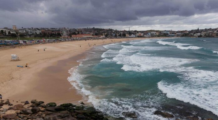NSW 본다이 비치 상어 그물, 여름철 시범 철거 검토 중 Popular Sydney beaches including Bondi Beach could be in for a major change ahead of a trial to remove shark nets. Picture NewsWire David Swift