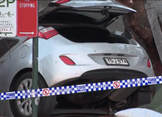 호주 시드니, 차량이 주택을 들이받으며 반려견 사망 A pet dog has been killed after a car crashed and flew into a backyard in Sydney's inner city. (Nine)
