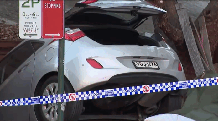 호주 시드니, 차량이 주택을 들이받으며 반려견 사망 A pet dog has been killed after a car crashed and flew into a backyard in Sydney's inner city. (Nine)