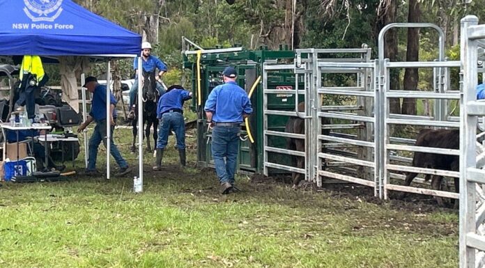 20만 달러 규모 와규 소 정액 및 소 도난 사건, 호주 남성 기소 Police found a liquid nitrogen tank containing over $100k in cattle semen. (NSW Police)