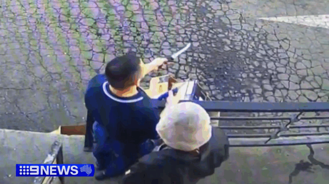 The local man then rushed to a nearby butcher and asked for a knife, being shown two options before he grabbed one and raced back. (Nine)