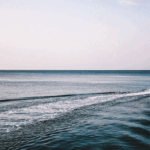 9.unsplash_Victor Larracuente