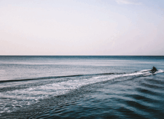 호주 시드니 제트스키 사고, 10대 사망 및 부상 unsplash_Victor Larracuente