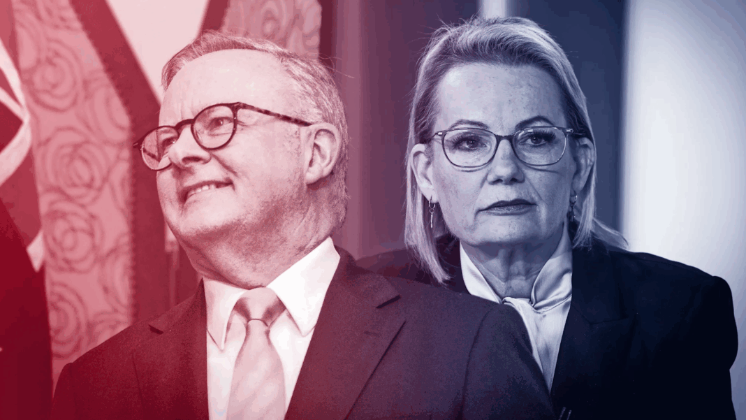 It’s good news for Anthony Albanese and not so good for Sussan Ley in the first post-election Resolve poll.Credit:Alex Ellinghausen and James Brickwood