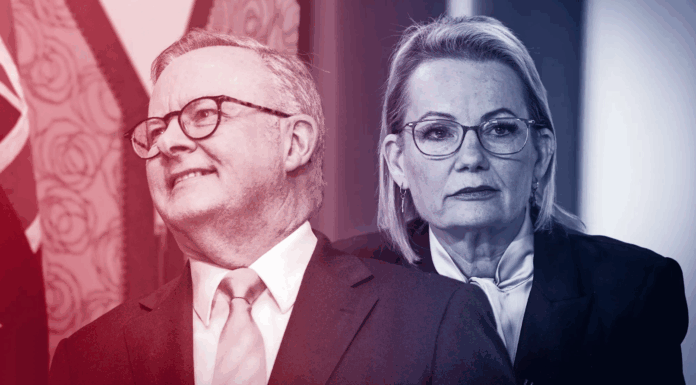 호주 노동당 상승가도 행진 야당 자유연정 추락 It’s good news for Anthony Albanese and not so good for Sussan Ley in the first post-election Resolve poll.Credit:Alex Ellinghausen and James Brickwood