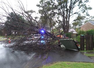 NSW 동해안 폭풍 이후 시드니·센트럴코스트 등 대규모 복구 진행 중 NSW SES volunteers respond to incidents on Tuesday. (NSW SES)