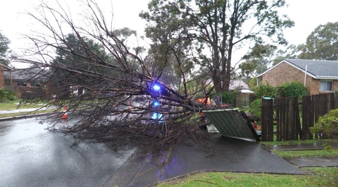 NSW 동해안 폭풍 이후 시드니·센트럴코스트 등 대규모 복구 진행 중 NSW SES volunteers respond to incidents on Tuesday. (NSW SES)