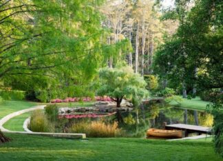 NSW, 집이 포함되지 않은 정원부지만 400만 달러 이상에 팔려 Pirramimma Garden Estate in the Blue Mountains has been sold. Credit RealEstate.com_7NEWS