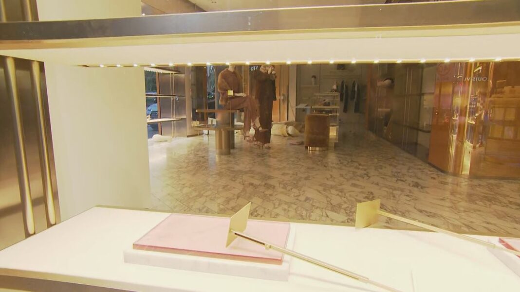 The crew of robbers stole every bag on display in the store. (Nine)