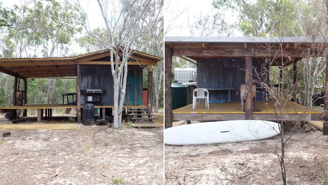 The illegal cabin was constructed using felled trees and materials brought to the site. Credit DESI