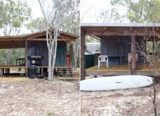 호주 퀸즐랜드 국립공원에 불법 휴가용 오두막이 건설 The illegal cabin was constructed using felled trees and materials brought to the site. Credit DESI
