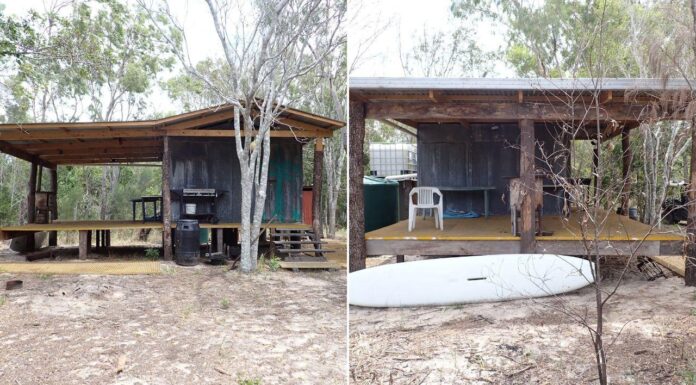 호주 퀸즐랜드 국립공원에 불법 휴가용 오두막이 건설 The illegal cabin was constructed using felled trees and materials brought to the site. Credit DESI