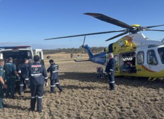 퀸즐랜드 달링다운스 동물원에서 사자, 사육사 팔 물어뜯어 The woman was airlifted to hospital where she underwent multiple surgeries. Credit AAP