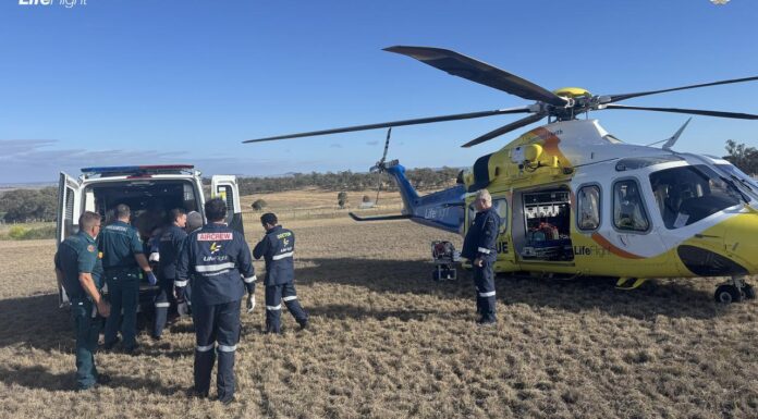 퀸즐랜드 달링다운스 동물원에서 사자, 사육사 팔 물어뜯어 The woman was airlifted to hospital where she underwent multiple surgeries. Credit AAP