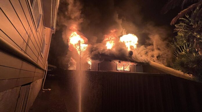 NSW 미라부카 주택 화재 여성 기소 A woman has been charged after a house fire at Mirrabooka, NSW. (NSW RFS)