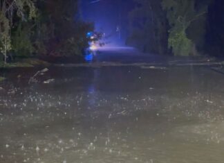 NSW 헌터 지역 – 차량 침수로 26세 여성 실종 Emergency services were called to Black Creek on Old North Road in Rothbury yesterday. (9News)