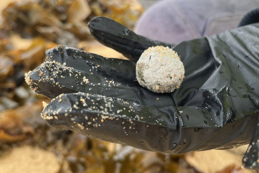 Debris balls have washed up on several beaches on NSW's Central Coast. (Central Coast Council )_9NEWS