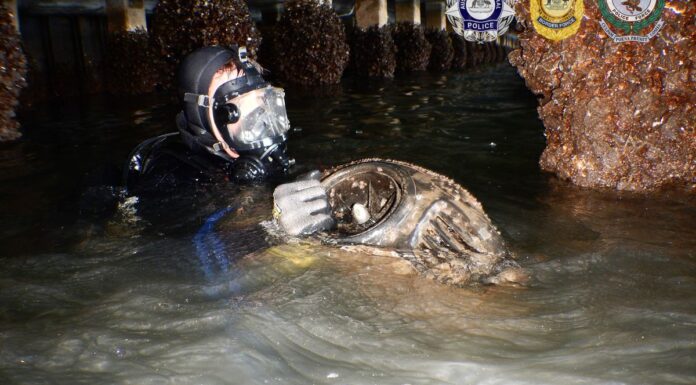 NSW 시드니, 80kg 코카인 잠수 시도한 노르웨이인 2명 징역 Police divers recovered the cocaine and two seabobs used in the attempted smuggling. (NSW Police, AFP, ABF)_9NEWS