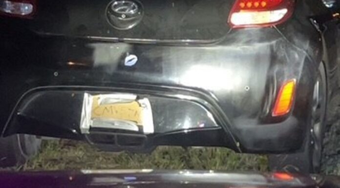 시드니, 골판지 번호판 사용한 여성 법정 출석 A woman was allegedly caught driving with cardboard licence plates in Revesby, Sydney. (NSW PoliceFacebook)