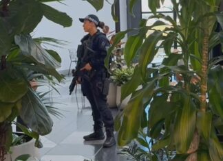 호주 시드니 공항서 경찰 총기 오발 사고…41세 남성 기소 A man has been arrested at Sydney Airport over the firing of a police gun in the domestic airport today. (Nine)