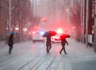 NSW 집중호우로 인한 홍수 우려 Wet weather, Sydney. August 20, 2025. (Edwina Pickles)_9NEWS
