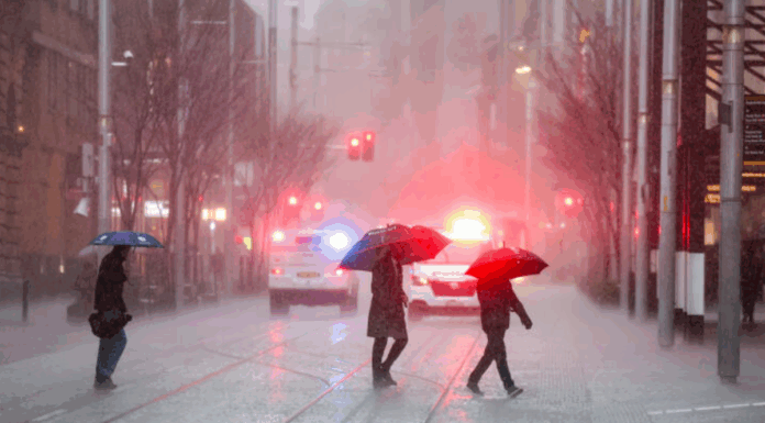 NSW 집중호우로 인한 홍수 우려 Wet weather, Sydney. August 20, 2025. (Edwina Pickles)_9NEWS