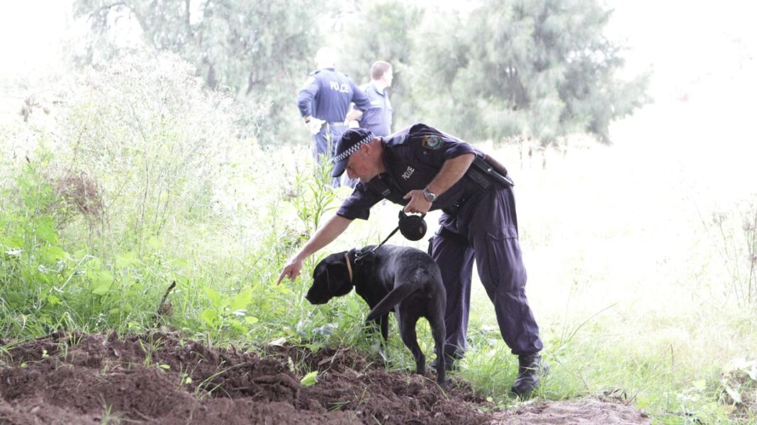 Smith's body has never been found despite extensive searches. (PR IMAGE)_9news