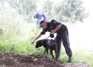 호주 NSW, 레이슬 스미스 실종 사건 13년 만에 진실 밝혀져 Smith's body has never been found despite extensive searches. (PR IMAGE)_9news