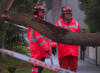 호주 남동부, 폭풍우와 토네이도 강타 Residents in South Australua, Victoria, Tasmania, and parts of NSW and the ACT have shivered through the night as blizzard-like conditions brought low-level snow and powerful winds. (Nine)