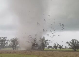 NSW 한농부 센트럴웨스트 두개의 강력한 토네이도 영상 공개 Tornado in Cowra spotted by a farmer ripping through the fields. (Nine)