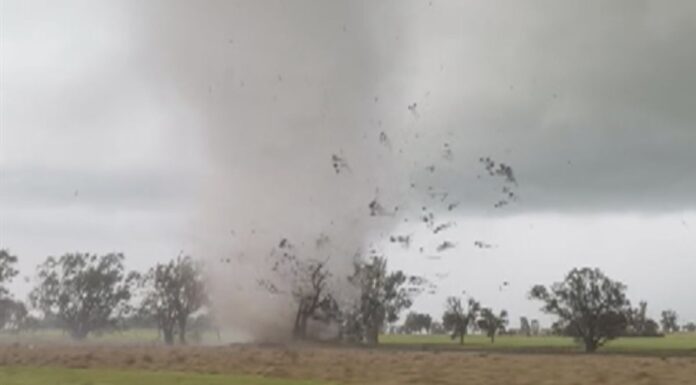 NSW 한농부 센트럴웨스트 두개의 강력한 토네이도 영상 공개 Tornado in Cowra spotted by a farmer ripping through the fields. (Nine)