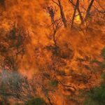 11.A bushfire in Sydney last year. (9News)