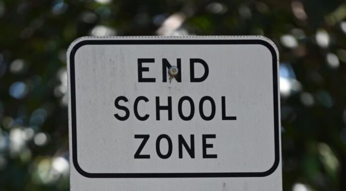 호주 사립학교와 공립학교 간의 학업 성취 격차 The study shows entrenched disparities between public and private schools. Picture NewsWire Naomi Jellicoe