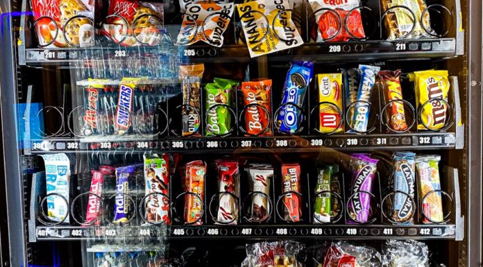 호주 시드니, 24세 청년 자판기 사업가 이야기 esteranicoi_unsplash