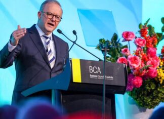 호주 BCA, 5% 현금흐름세(cash flow tax) 부과 도입 강력한 반대 BCA gave Anthony Albanese a stern warning against implementing the 5pc net cash flow tax recommended by the Productivity Commission.. Picture NewsWire Dylan Coker_news.com.au