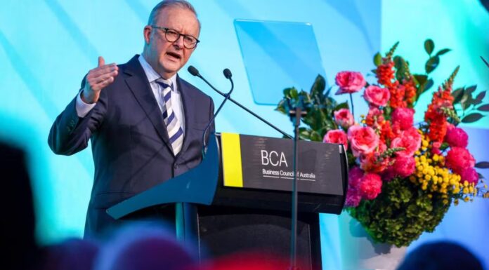 호주 BCA, 5% 현금흐름세(cash flow tax) 부과 도입 강력한 반대 BCA gave Anthony Albanese a stern warning against implementing the 5pc net cash flow tax recommended by the Productivity Commission.. Picture NewsWire Dylan Coker_news.com.au