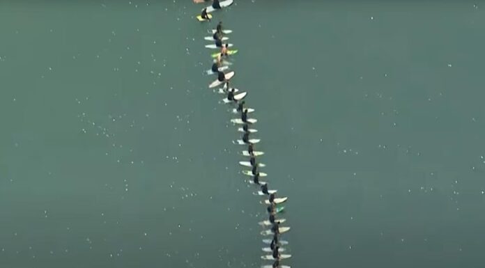 호주 시드니, 상어 공격 희생자 추모 서핑 행사 They held hands or locked arms during the paddle out. Picture Channel 7