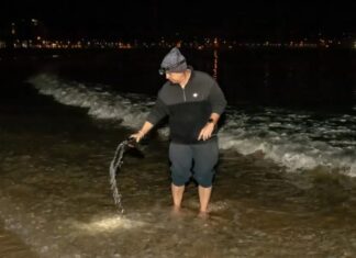 호주 맨리 바닷물 이례적 고온 현상, 생태계 우려 Guy Dunstan measures the sea water temperature on Manly seafront before dawn every morning and writes the numbers in chalk on the southern wall above the beach. Photo Alec Smart