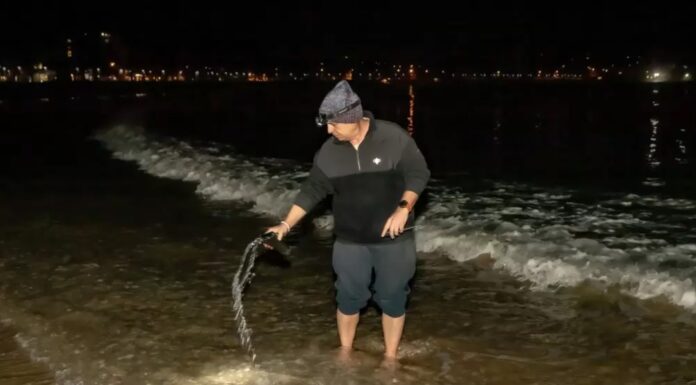 호주 맨리 바닷물 이례적 고온 현상, 생태계 우려 Guy Dunstan measures the sea water temperature on Manly seafront before dawn every morning and writes the numbers in chalk on the southern wall above the beach. Photo Alec Smart