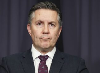 호주 아동 치과 지원금, 다수 가정에서 미신청 Health Minister Mark Butler has encouraged Australians to sign their kids up for the Child Dental Benefits Schedule. (Alex Ellinghausen)